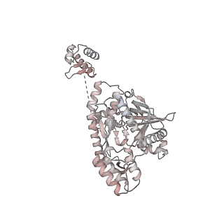 16596_8cdv_C_v1-4
Rnase R bound to a 30S degradation intermediate (state II)