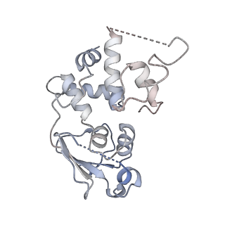 16596_8cdv_F_v1-4
Rnase R bound to a 30S degradation intermediate (state II)