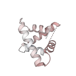 16596_8cdv_H_v1-4
Rnase R bound to a 30S degradation intermediate (state II)