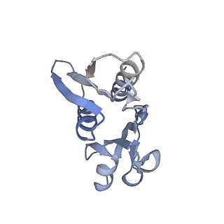 16596_8cdv_I_v1-4
Rnase R bound to a 30S degradation intermediate (state II)