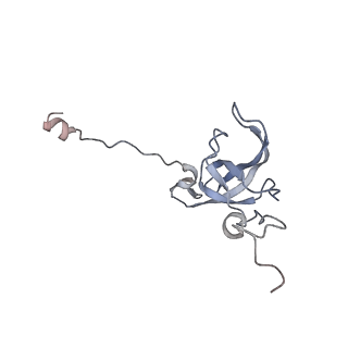 16596_8cdv_L_v1-4
Rnase R bound to a 30S degradation intermediate (state II)