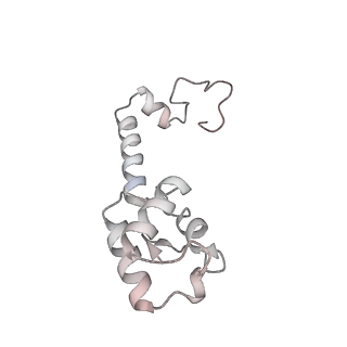 16596_8cdv_M_v1-4
Rnase R bound to a 30S degradation intermediate (state II)