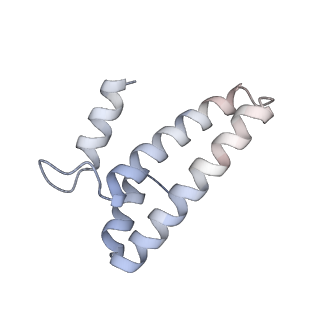 16596_8cdv_O_v1-4
Rnase R bound to a 30S degradation intermediate (state II)