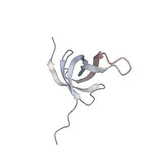 16596_8cdv_Q_v1-4
Rnase R bound to a 30S degradation intermediate (state II)