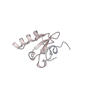 16596_8cdv_R_v1-4
Rnase R bound to a 30S degradation intermediate (state II)