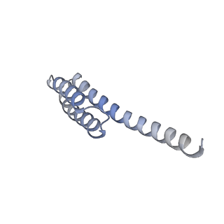 16596_8cdv_S_v1-4
Rnase R bound to a 30S degradation intermediate (state II)