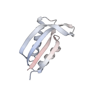 16596_8cdv_T_v1-4
Rnase R bound to a 30S degradation intermediate (state II)