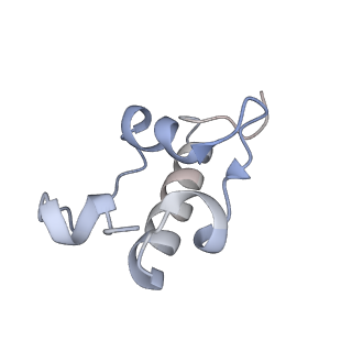 16596_8cdv_U_v1-4
Rnase R bound to a 30S degradation intermediate (state II)