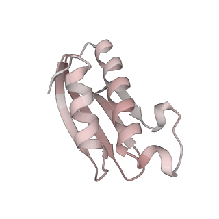 16596_8cdv_V_v1-4
Rnase R bound to a 30S degradation intermediate (state II)