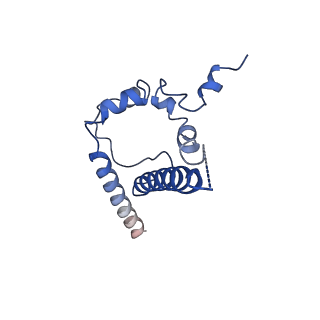 7460_6cdi_D_v1-3
Cryo-EM structure at 3.6 A resolution of vaccine-elicited antibody vFP16.02 in complex with HIV-1 Env BG505 DS-SOSIP, and antibodies VRC03 and PGT122