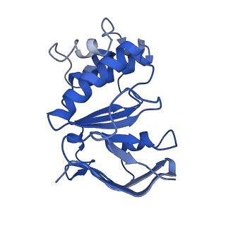 16597_8ce1_A_v1-0
Cytochrome c maturation complex CcmABCD