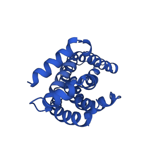 16597_8ce1_B_v1-0
Cytochrome c maturation complex CcmABCD