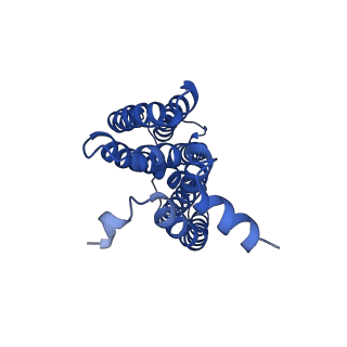 16597_8ce1_C_v1-0
Cytochrome c maturation complex CcmABCD