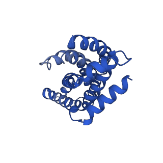 16597_8ce1_b_v1-0
Cytochrome c maturation complex CcmABCD