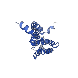 16597_8ce1_c_v1-0
Cytochrome c maturation complex CcmABCD