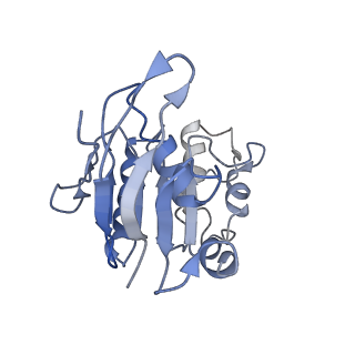 16599_8ce5_A_v1-0
Cytochrome c maturation complex CcmABCD, E154Q, ATP-bound