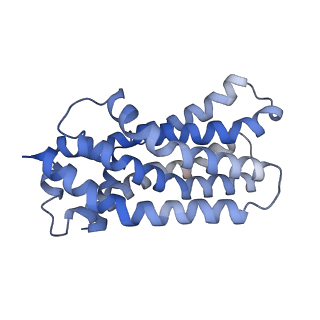 16599_8ce5_B_v1-0
Cytochrome c maturation complex CcmABCD, E154Q, ATP-bound
