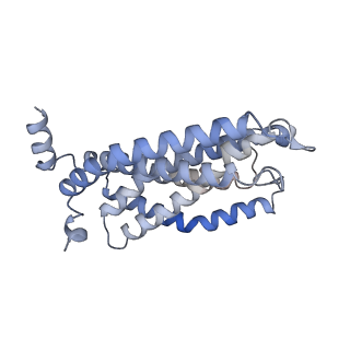 16599_8ce5_C_v1-0
Cytochrome c maturation complex CcmABCD, E154Q, ATP-bound
