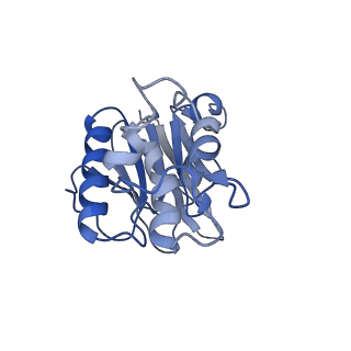 16599_8ce5_a_v1-0
Cytochrome c maturation complex CcmABCD, E154Q, ATP-bound