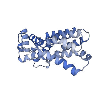 16599_8ce5_b_v1-0
Cytochrome c maturation complex CcmABCD, E154Q, ATP-bound