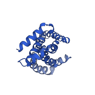 16601_8ce8_B_v1-0
Cytochrome c maturation complex CcmABCDE