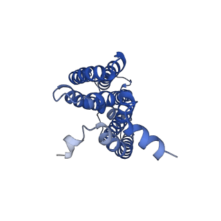 16601_8ce8_C_v1-0
Cytochrome c maturation complex CcmABCDE