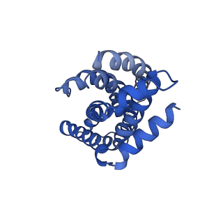 16601_8ce8_b_v1-0
Cytochrome c maturation complex CcmABCDE