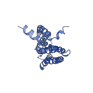 16601_8ce8_c_v1-0
Cytochrome c maturation complex CcmABCDE