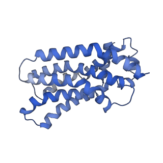 16602_8cea_B_v1-0
Cytochrome c maturation complex CcmABCD, E154Q