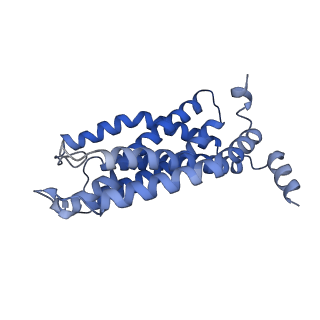 16602_8cea_C_v1-0
Cytochrome c maturation complex CcmABCD, E154Q