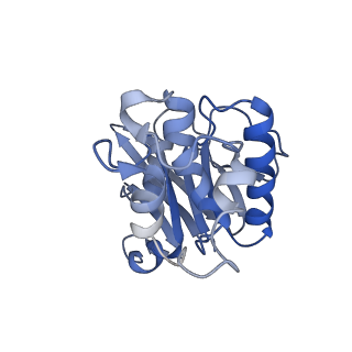 16602_8cea_a_v1-0
Cytochrome c maturation complex CcmABCD, E154Q