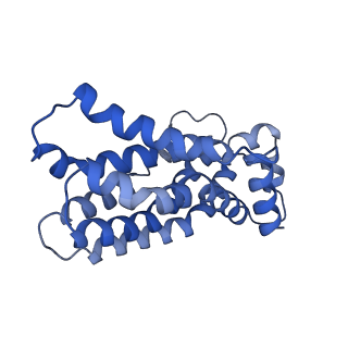 16602_8cea_b_v1-0
Cytochrome c maturation complex CcmABCD, E154Q