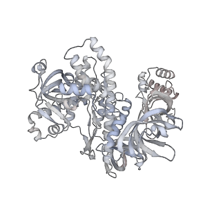 16605_8cec_C_v1-0
Rnase R bound to a 30S degradation intermediate (State I - head-turning)