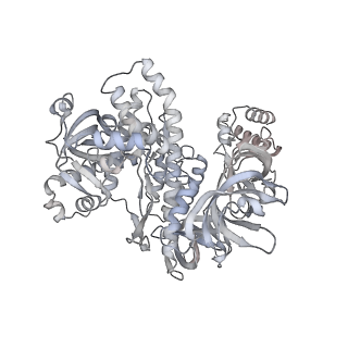 16605_8cec_C_v1-4
Rnase R bound to a 30S degradation intermediate (State I - head-turning)