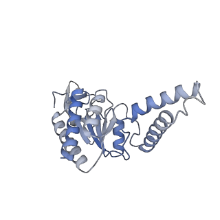 16605_8cec_D_v1-0
Rnase R bound to a 30S degradation intermediate (State I - head-turning)