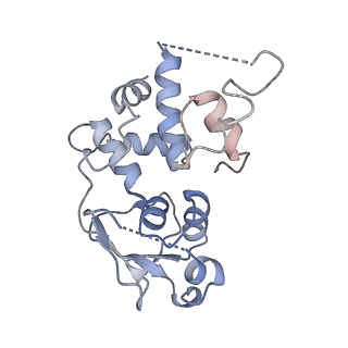 16605_8cec_F_v1-0
Rnase R bound to a 30S degradation intermediate (State I - head-turning)
