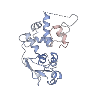 16605_8cec_F_v1-4
Rnase R bound to a 30S degradation intermediate (State I - head-turning)