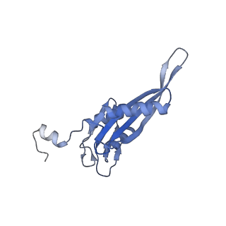 16605_8cec_G_v1-0
Rnase R bound to a 30S degradation intermediate (State I - head-turning)