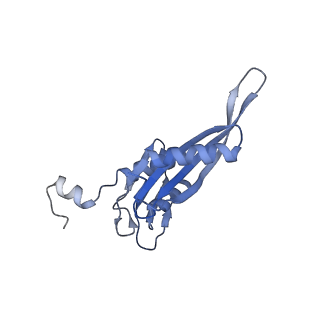 16605_8cec_G_v1-4
Rnase R bound to a 30S degradation intermediate (State I - head-turning)