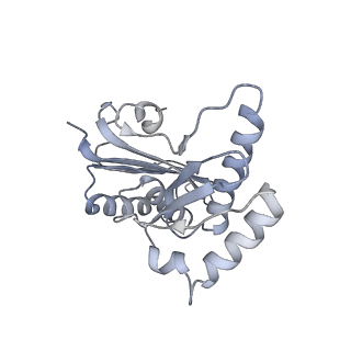 16605_8cec_H_v1-0
Rnase R bound to a 30S degradation intermediate (State I - head-turning)
