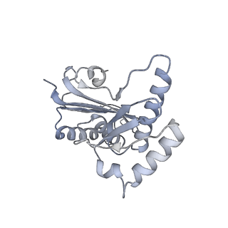 16605_8cec_H_v1-4
Rnase R bound to a 30S degradation intermediate (State I - head-turning)