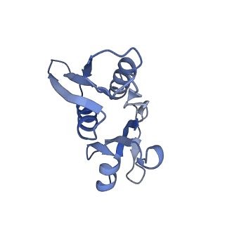 16605_8cec_I_v1-4
Rnase R bound to a 30S degradation intermediate (State I - head-turning)