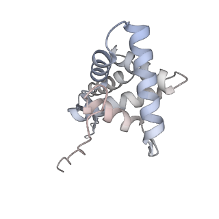 16605_8cec_K_v1-4
Rnase R bound to a 30S degradation intermediate (State I - head-turning)