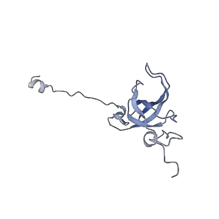 16605_8cec_L_v1-0
Rnase R bound to a 30S degradation intermediate (State I - head-turning)