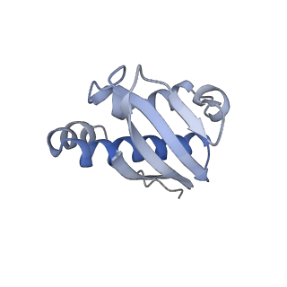 16605_8cec_N_v1-0
Rnase R bound to a 30S degradation intermediate (State I - head-turning)
