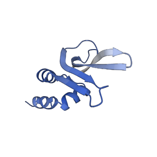 16605_8cec_P_v1-0
Rnase R bound to a 30S degradation intermediate (State I - head-turning)