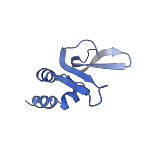 16605_8cec_P_v1-4
Rnase R bound to a 30S degradation intermediate (State I - head-turning)