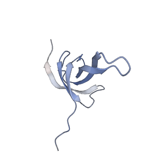 16605_8cec_Q_v1-0
Rnase R bound to a 30S degradation intermediate (State I - head-turning)