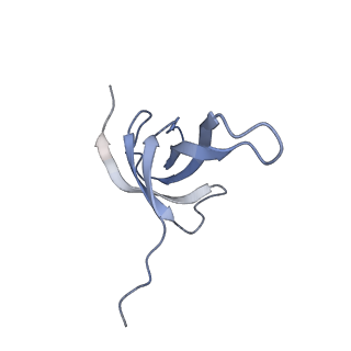 16605_8cec_Q_v1-4
Rnase R bound to a 30S degradation intermediate (State I - head-turning)