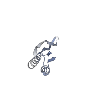 16605_8cec_R_v1-0
Rnase R bound to a 30S degradation intermediate (State I - head-turning)